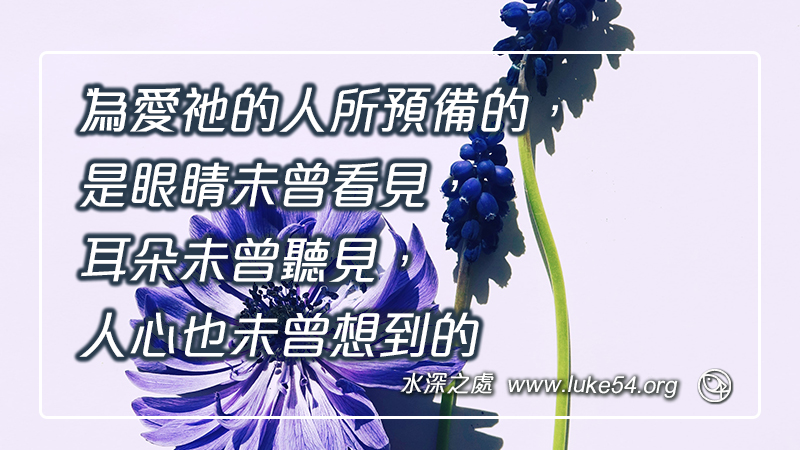 神為愛祂的人所預備的,是眼睛未曾看見,耳朵未曾聽見,人心也未曾想到的