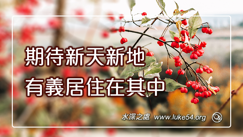 期待新天新地,有義居住在其中