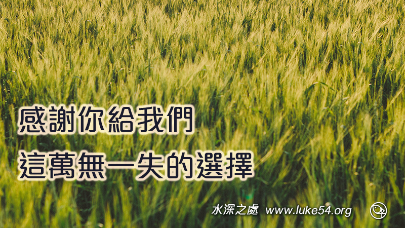 感謝你給我們,這萬無一失的選擇