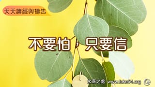 不要怕,只要信