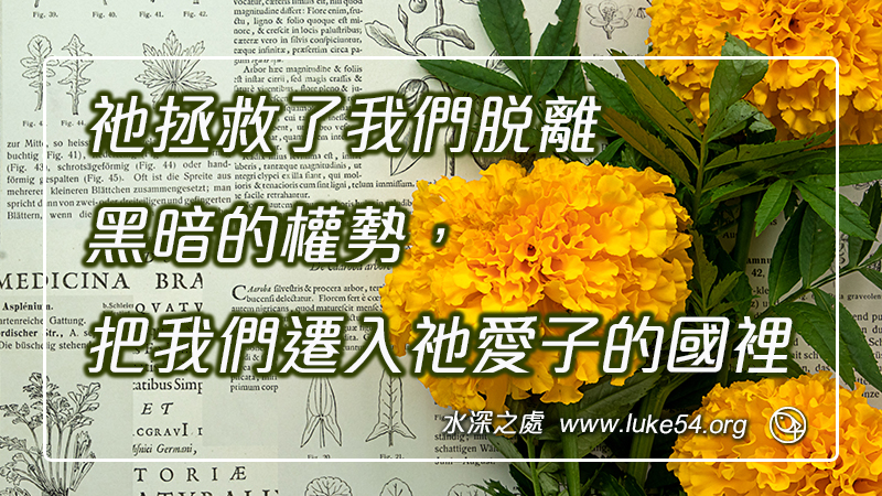 祂拯救了我們脫離黑暗的權勢,把我們遷入祂愛子的國裡