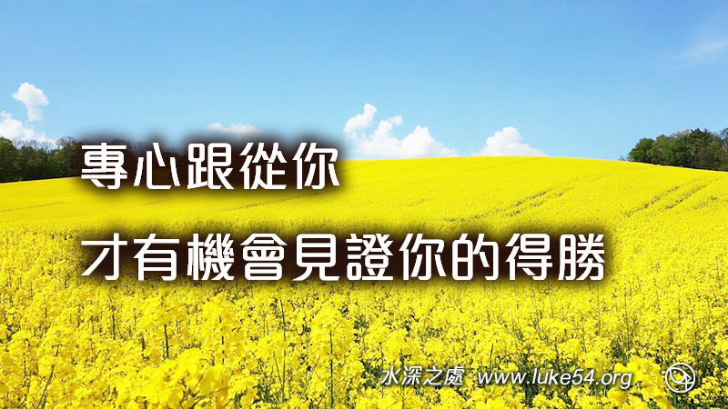專心跟從你,才有機會見證你的得勝