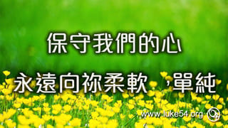 保守我們的心永遠向你柔軟，單純
