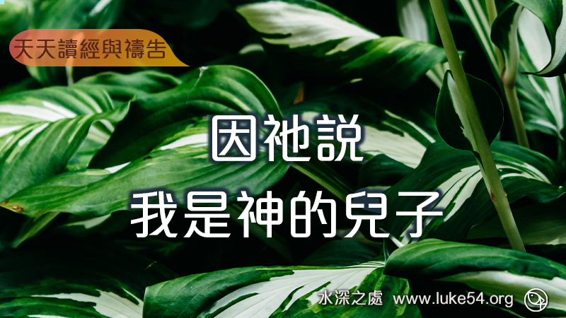 因祂說,我是神的兒子