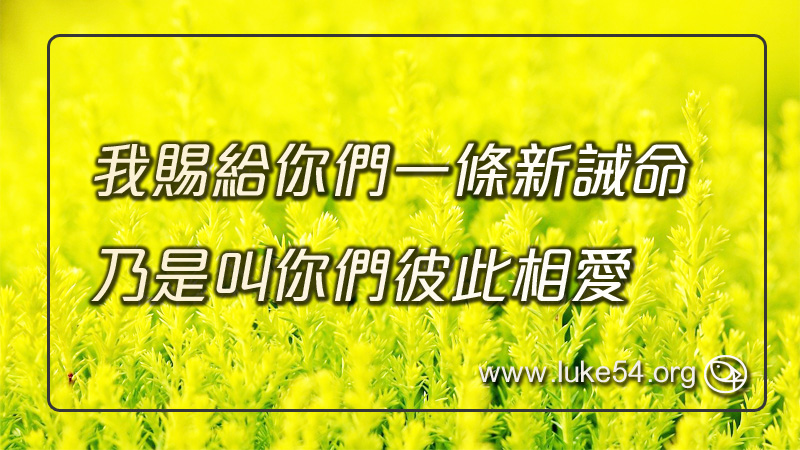 我賜給你們一條新誡命，乃是叫你們彼此相愛