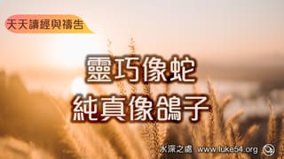 靈巧像蛇，純真像鴿子