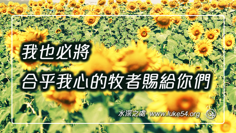 我也必將合乎我心的牧者賜給你們