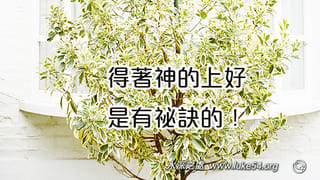 得著神的上好,是有祕訣的!