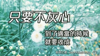 只要不灰心,到了適當的時候,就要收成。「我栽種了,亞波羅澆灌了,惟有神叫他生長」