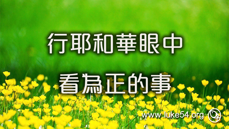 行耶和華眼中看為正的事
