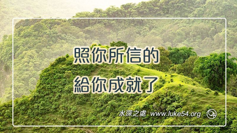照你所信的，給你成就了