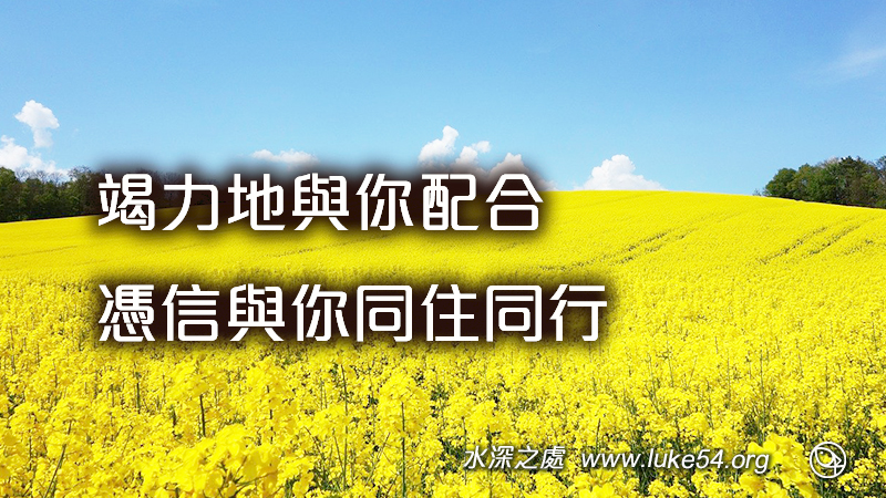 竭力地與你配合,憑信與你同住同行