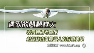 遇到的問題越大，表示通過考驗後，越能結出滋養眾人的甘甜美果