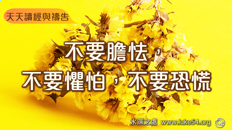 不要膽怯,不要懼怕,不要恐慌