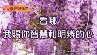 看哪,我賜你智慧和明辨的心