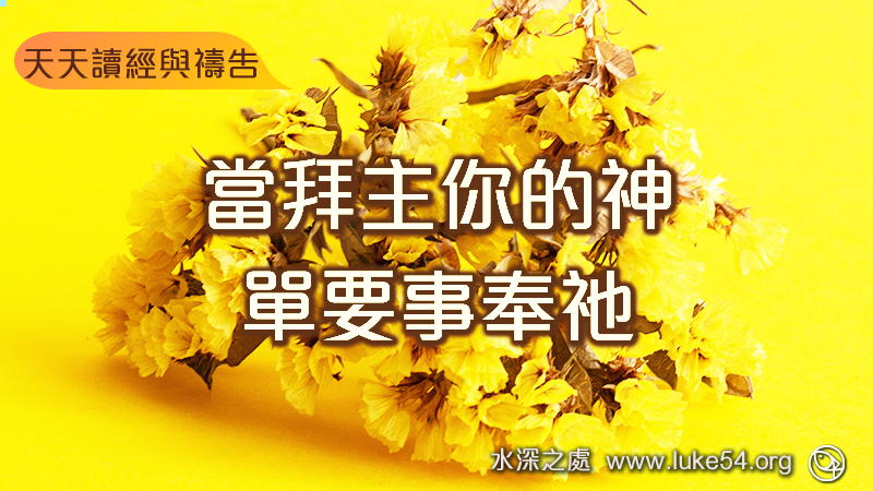 當拜主你的神,單要事奉祂