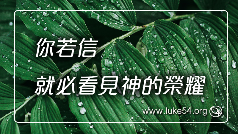 你若信,就必看見神的榮耀
