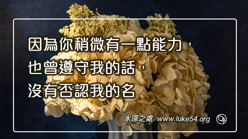 因為你稍微有一點能力,也曾遵守我的話,沒有否認我的名
