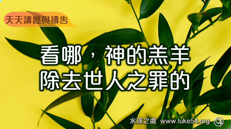看哪,神的羔羊,除去世人之罪的