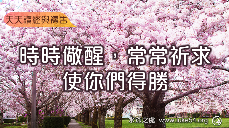 時時儆醒，常常祈求，使你們得勝