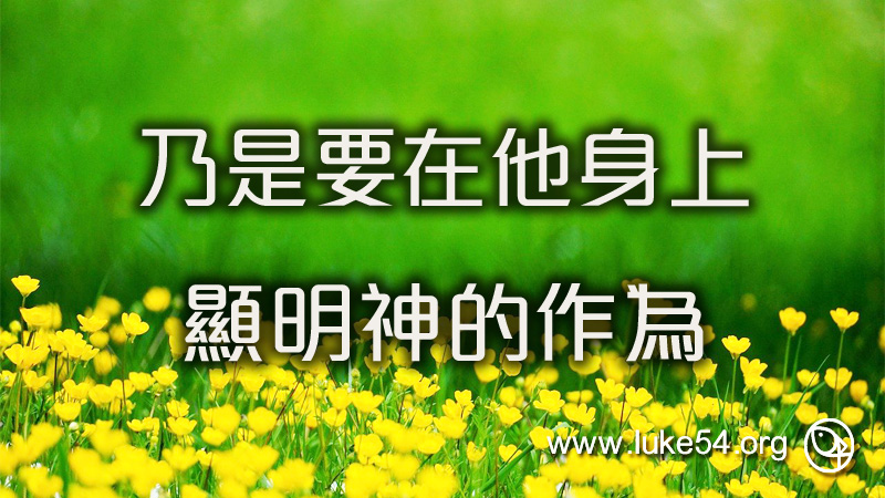 乃是要在他身上顯明神的作為
