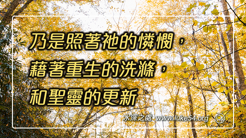 乃是照著祂的憐憫,藉著重生的洗滌,和聖靈的更新