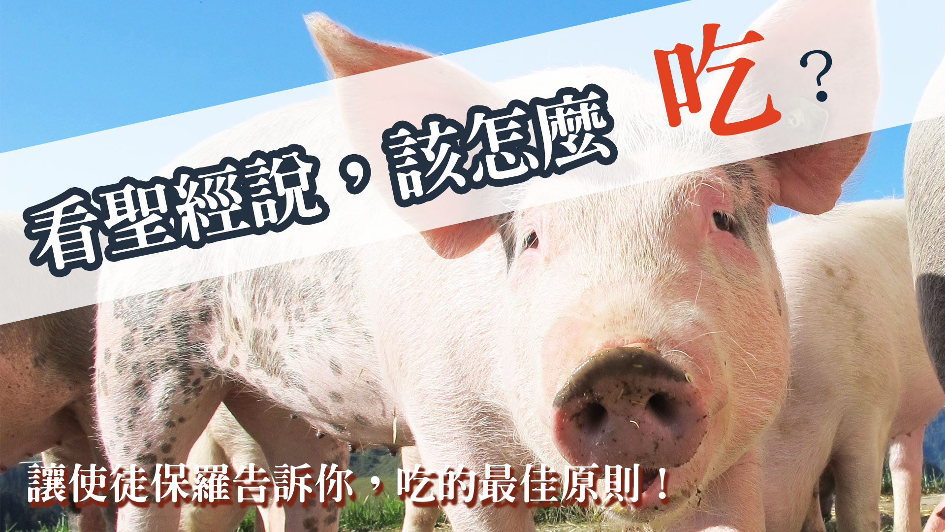 看聖經說，該怎麼吃？