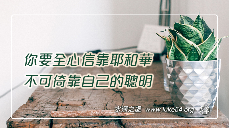 你要全心信靠耶和華,不可倚靠自己的聰明