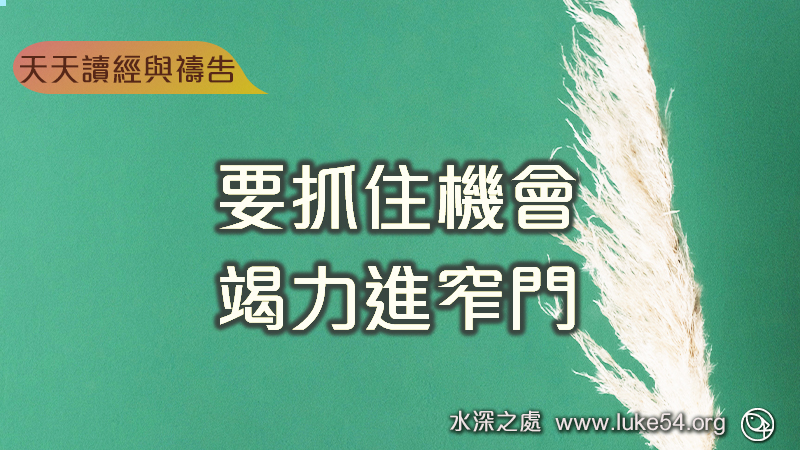 要抓住機會竭力進窄門