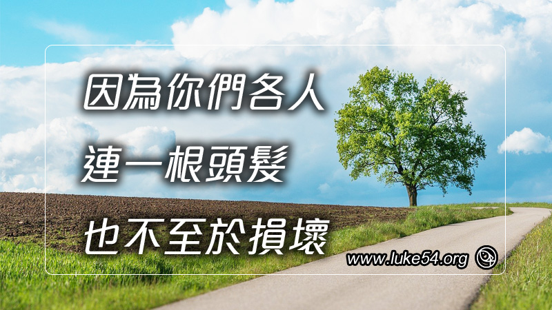 因為你們各人連一根頭髮也不至於損壞