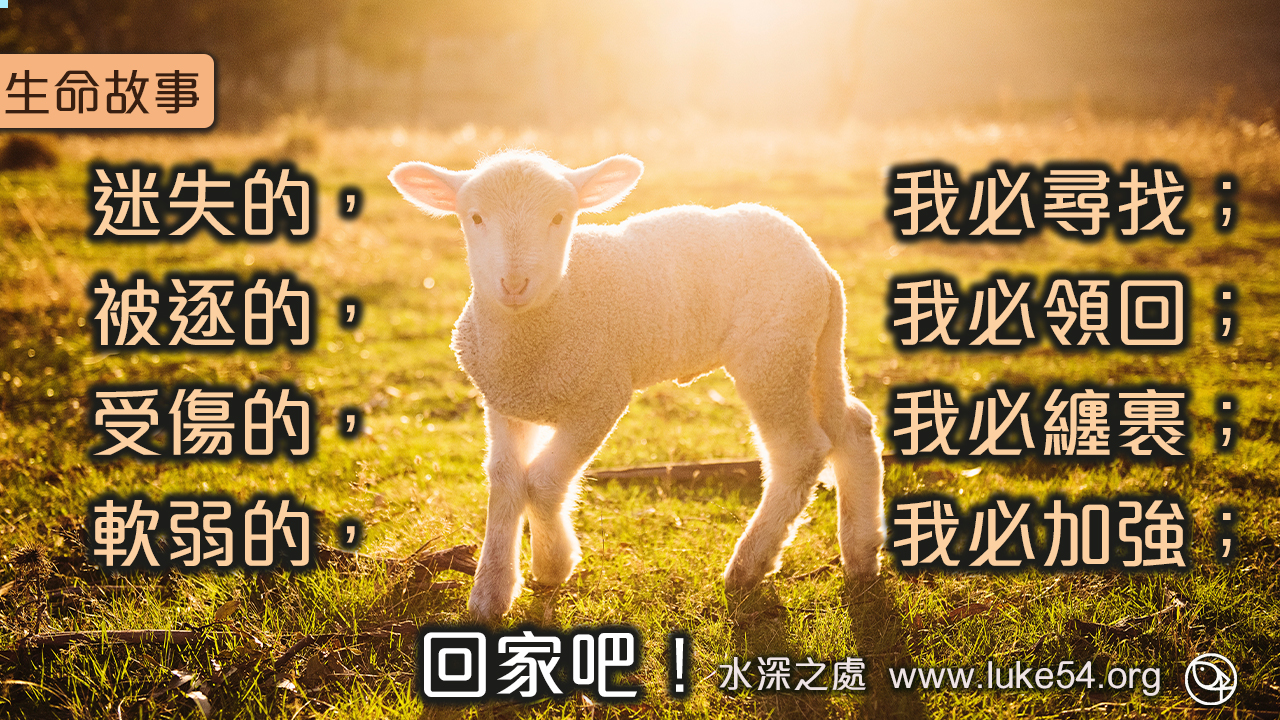 主纏裹受傷的，加強軟弱的