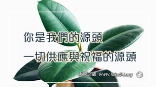 你是我們的源頭,一切供應與祝福的源頭
