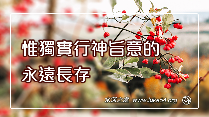 惟獨實行神旨意的，永遠長存