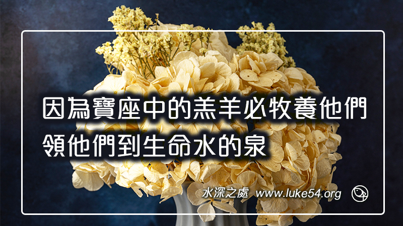 因為寶座中的羔羊必牧養他們,領他們到生命水的泉