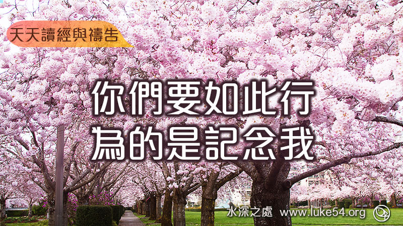 你們要如此行,為的是記念我