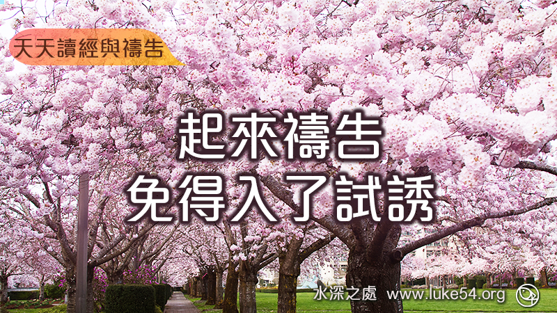 起來禱告,免得入了試誘