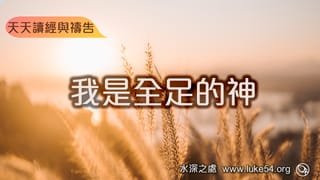 我是全足的神