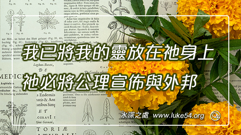 我已將我的靈放在祂身上,祂必將公理宣佈與外邦
