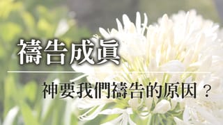 神要我們禱告的原因?
