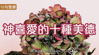 神喜愛的十種美德─10句聖經