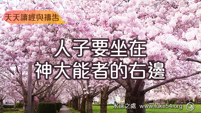 從今以後,人子要坐在神大能者的右邊