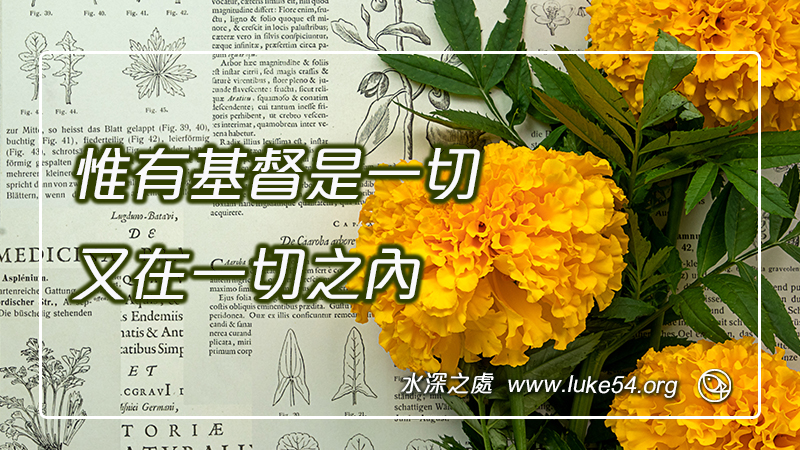 惟有基督是一切,又在一切之內