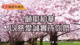 願耶和華以慈愛誠實待你們