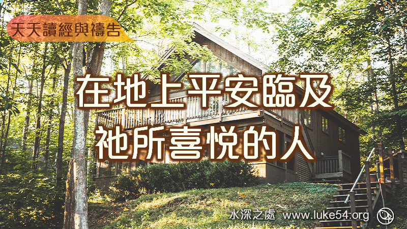 在至高之處榮耀歸與神,在地上平安臨及祂所喜悅的人