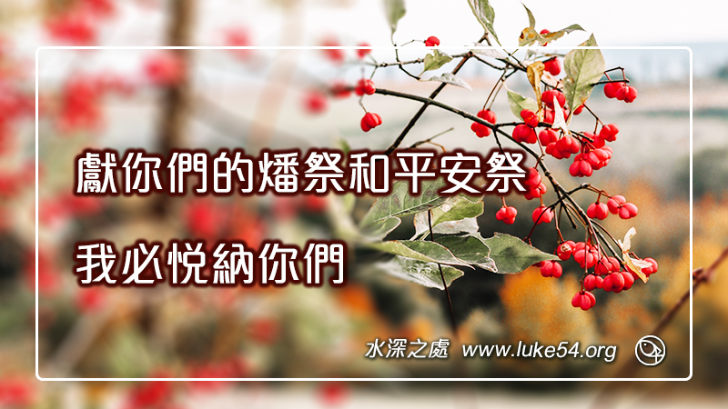 獻你們的燔祭和平安祭;我必悅納你們