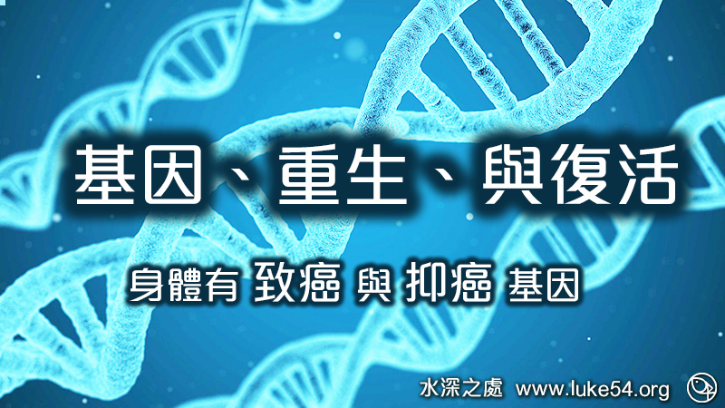 基因、重生、與復活:身體有致癌與抑癌基因