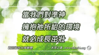 當我們對準神,擁抱祂所給的環境,就必成長茁壯