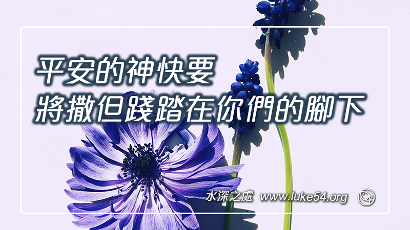 平安的神快要將撒但踐踏在你們的腳下