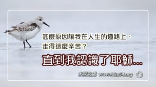 甚麼原因讓我在人生的道路上，走得這麼辛苦？直到我認識了耶穌...