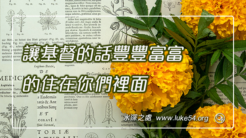 讓基督的話豐豐富富的住在你們裡面